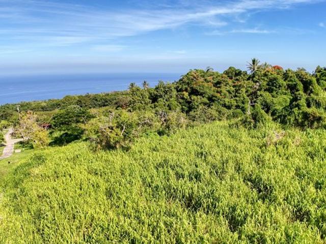 Land for sale in Kealakekua, Hawaiʻi County