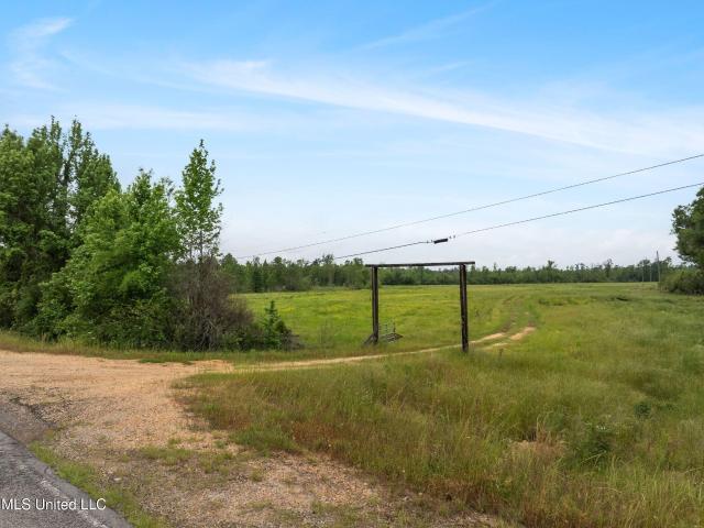 Land for sale in Collins, Mississippi