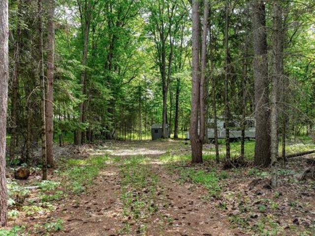 Land for sale in Holcombe, Wisconsin