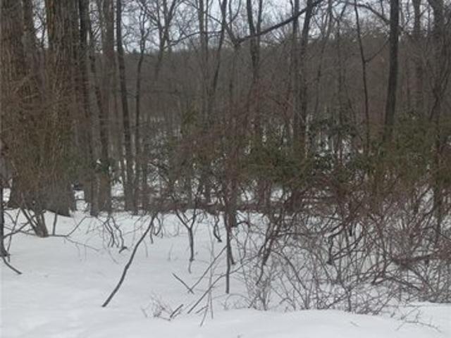 Land for sale in Bartonsville, Pennsylvania