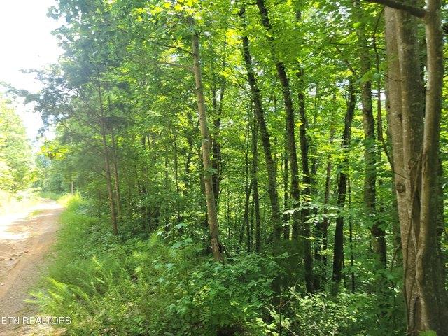 Land for sale in Tennessee