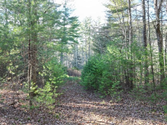 Land for sale in Sterling, Connecticut
