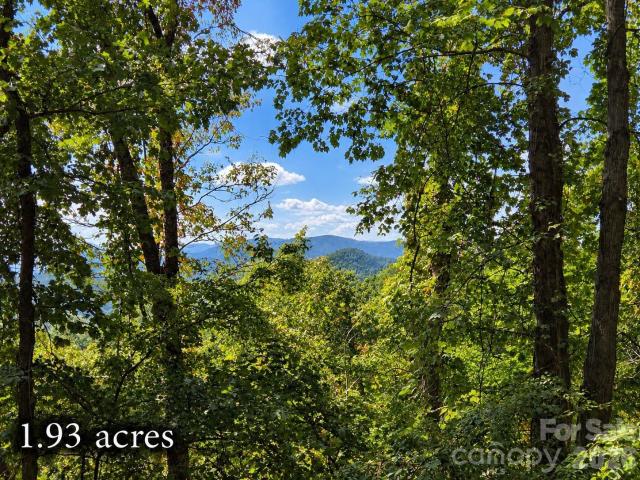 Land for sale in Waynesville, Haywood County