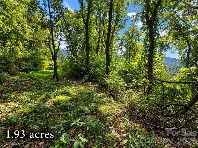 Land for sale in Waynesville, Haywood County