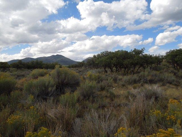 Land for sale in Utah