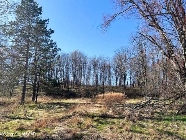 Land for sale in Hollisterville, Salem Township