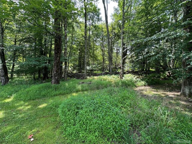 House for sale in Fallsburg, New York