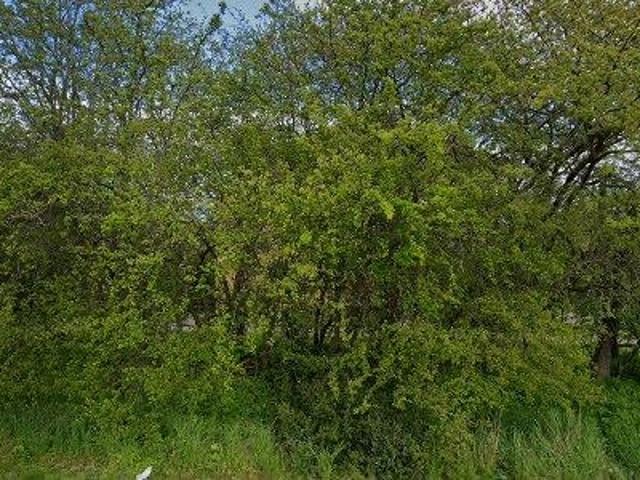 Lejlighed til salg i Greve Strand, Greve