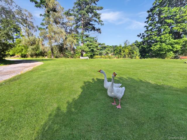 House for sale in Modena, New York