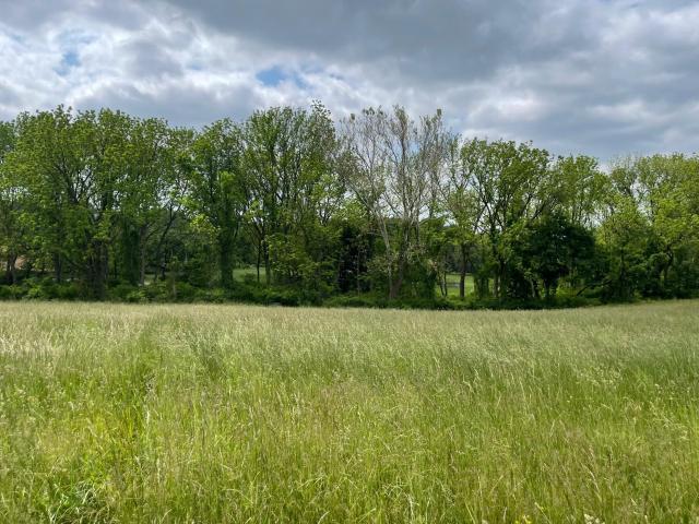 Land for sale in Chester, Pennsylvania