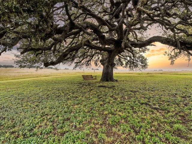 Farm for sale in Shiner, Texas