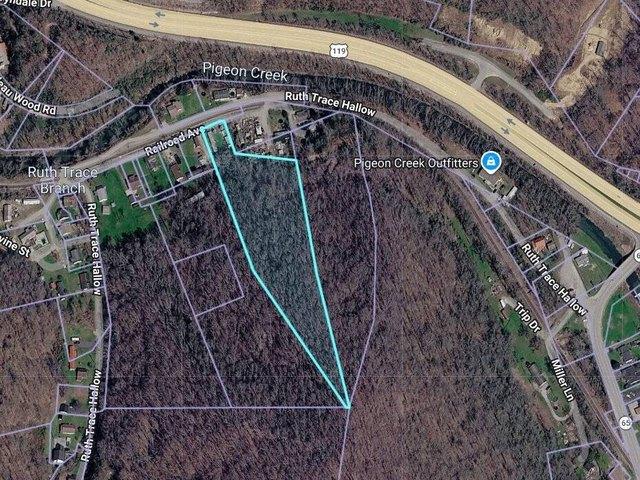 Land for sale in Mingo, West Virginia