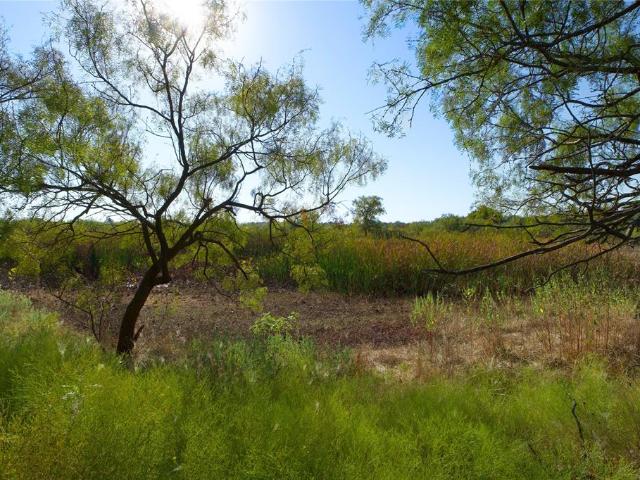 Land for sale in Ringgold, Texas