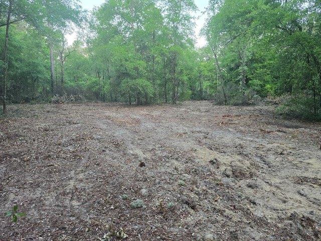 Land for sale in Bronson, Florida