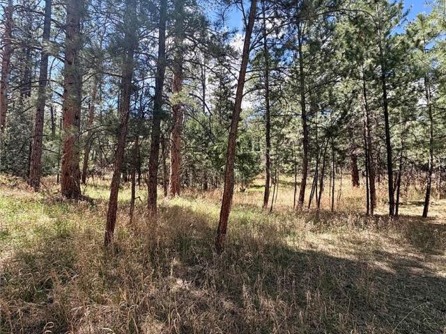 Land for sale in Colorado