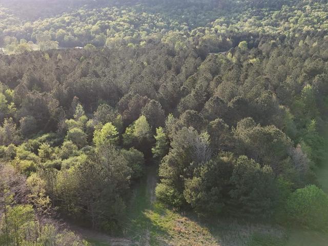 Land for sale in Etowah, Alabama