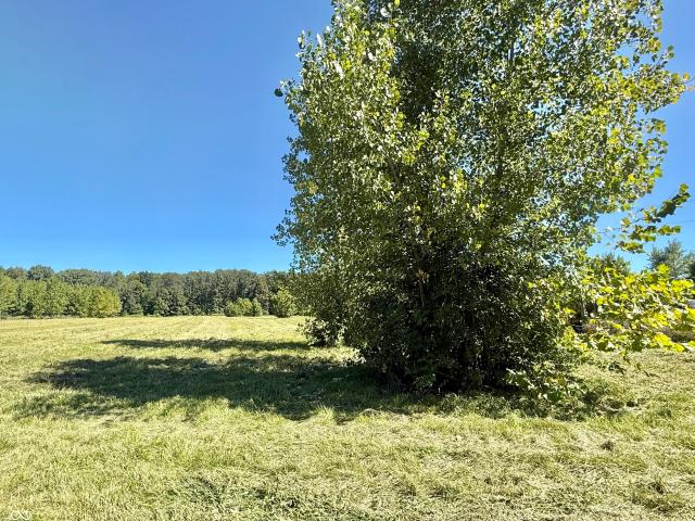 Land for sale in Commiskey, Indiana