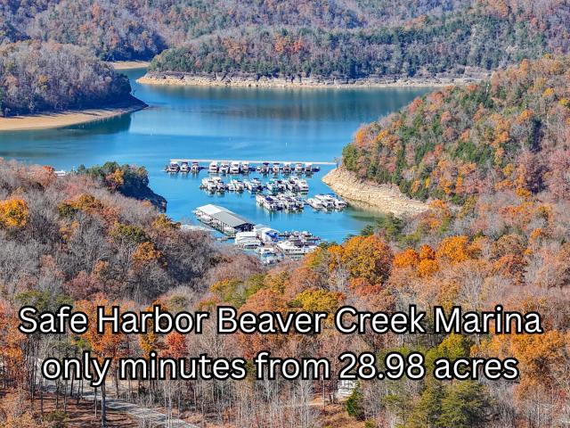 Land for sale in Monticello, Kentucky