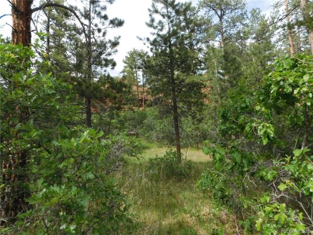 Land for sale in Colorado
