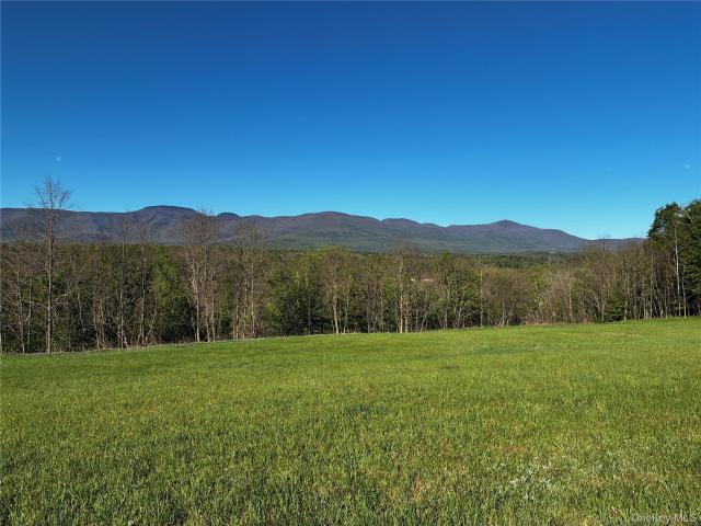Land for sale in Greenville, New York