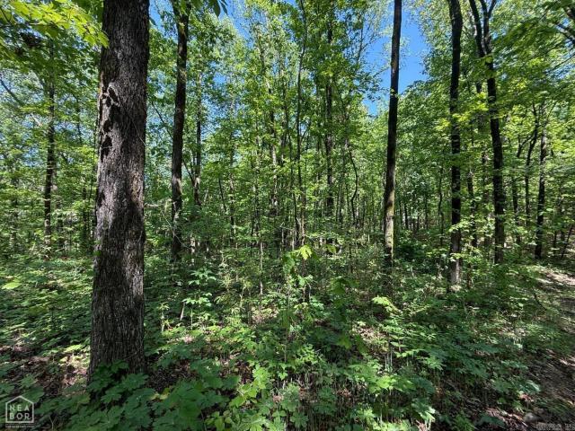 Land for sale in Ark