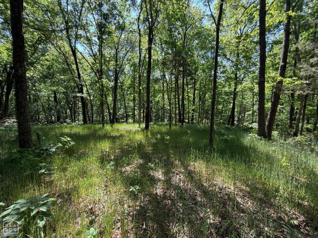 Farm for sale in Ark