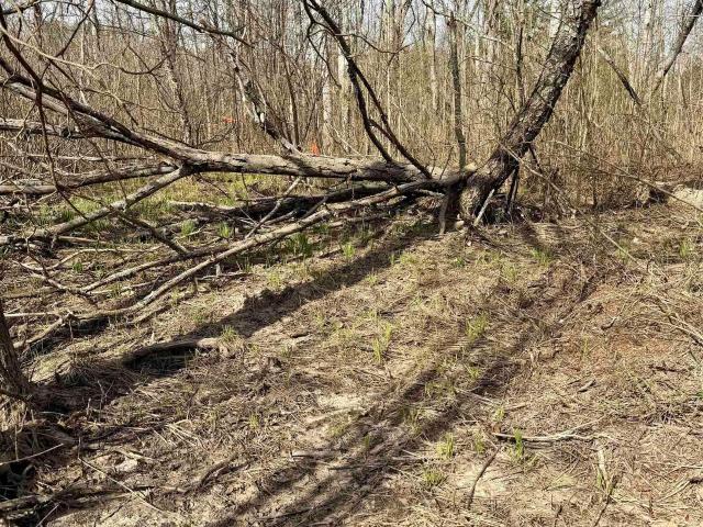 Land for sale in Michigan