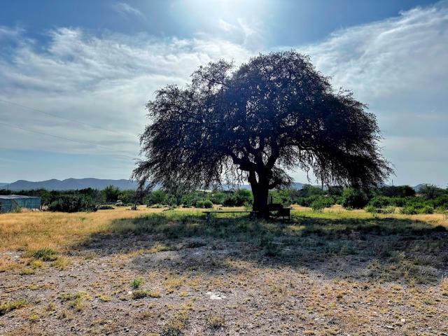 Farm for sale in Camp Wood, Texas