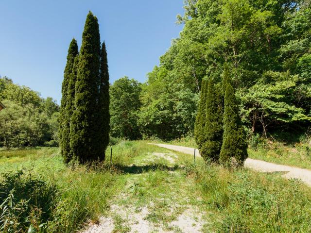 Land for sale in Wolfe, Kentucky