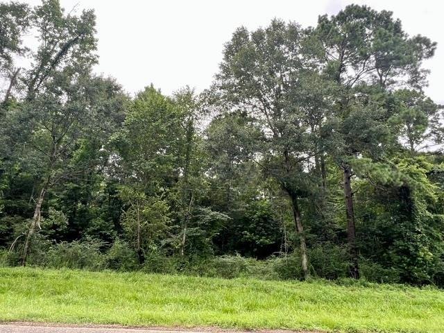 Land for sale in Sabine, Texas