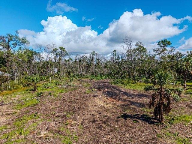 Land for sale in Steinhatchee, Florida