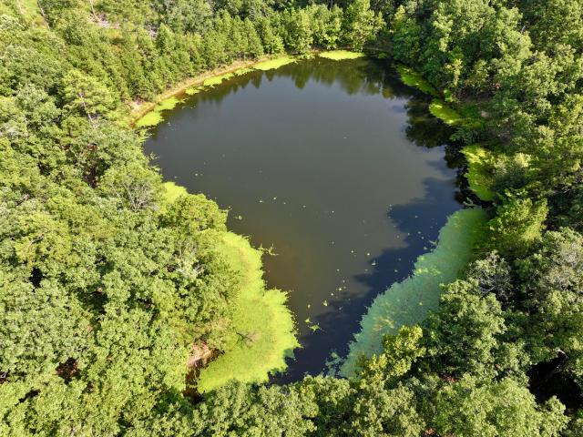 House for sale in Shannon, Missouri