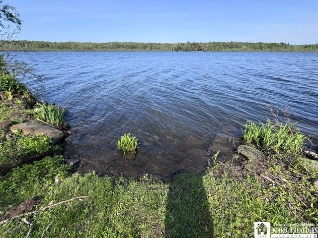 Land for sale in Lily Dale, New York