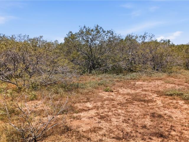 Farm for sale in Gonzales, Gonzales County
