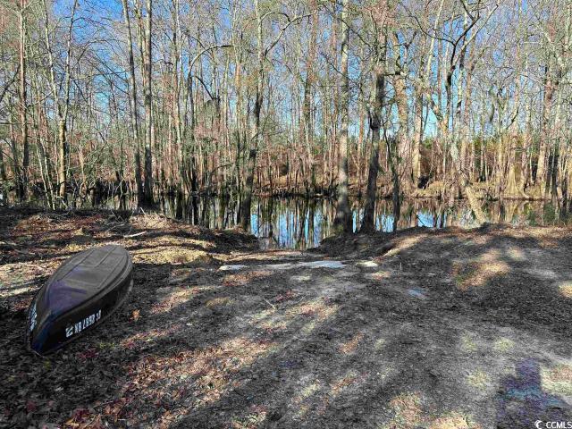 Land for sale in Johnsonville, South Carolina