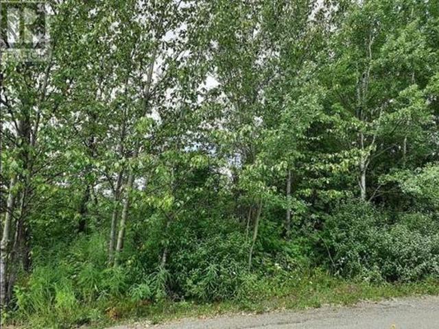 Land for sale in Fort St. James, British Columbia
