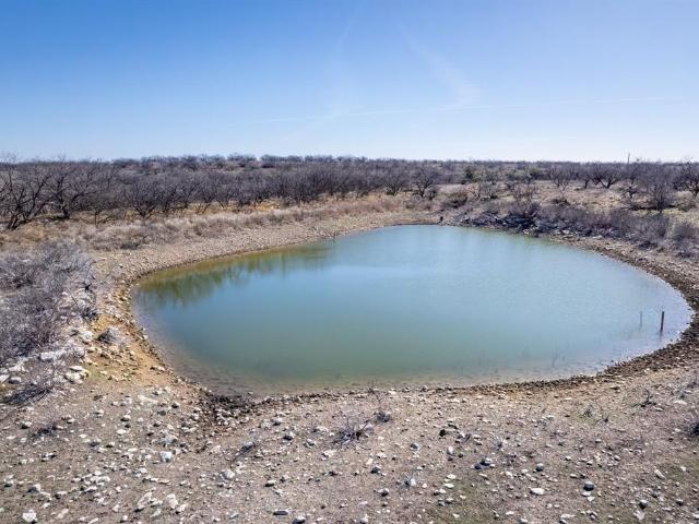 Land for sale in Coleman, Texas