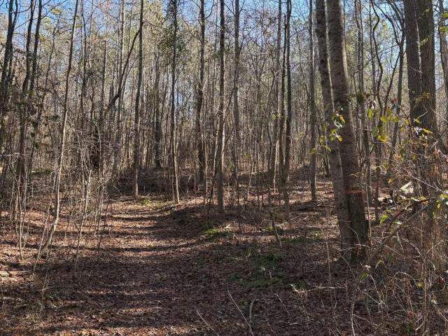 Land for sale in Eastwood, Oneonta