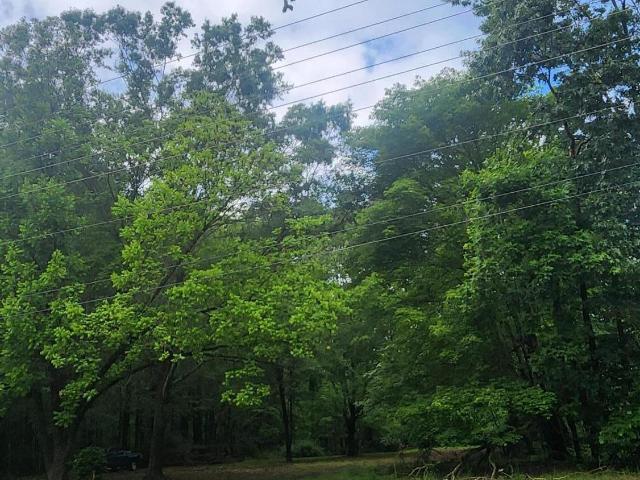 Land for sale in Wake, North Carolina