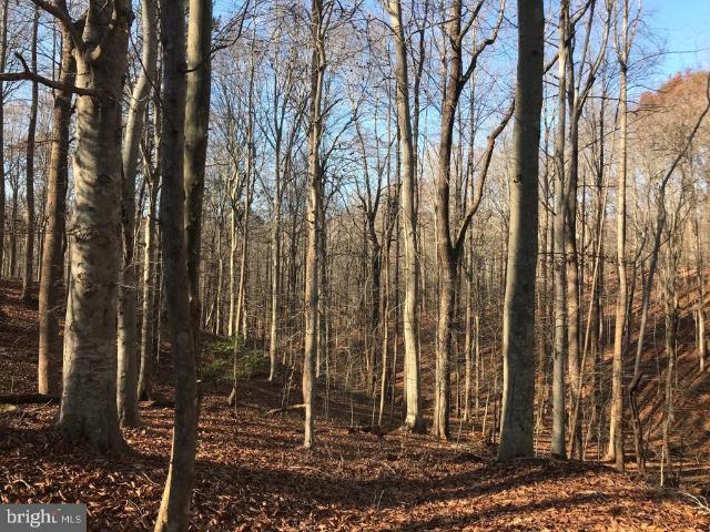 Land for sale in Fairfax Station