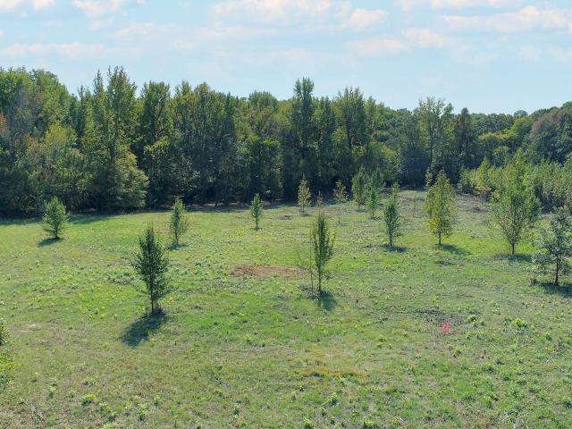 Land for sale in Ark
