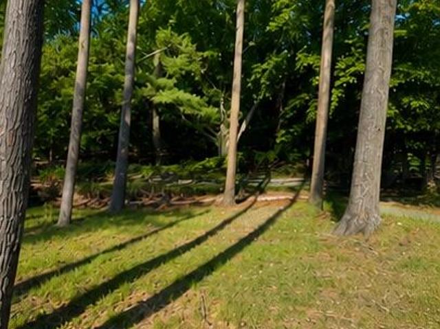 Land for sale in Grand Haven, Michigan