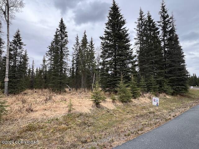 Land for sale in Soldotna