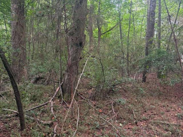 Land for sale in Plantation Estates, Athens