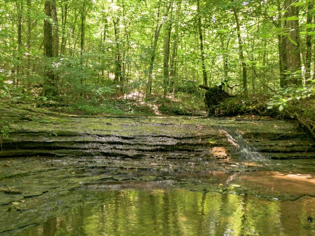 Land for sale in Tennessee