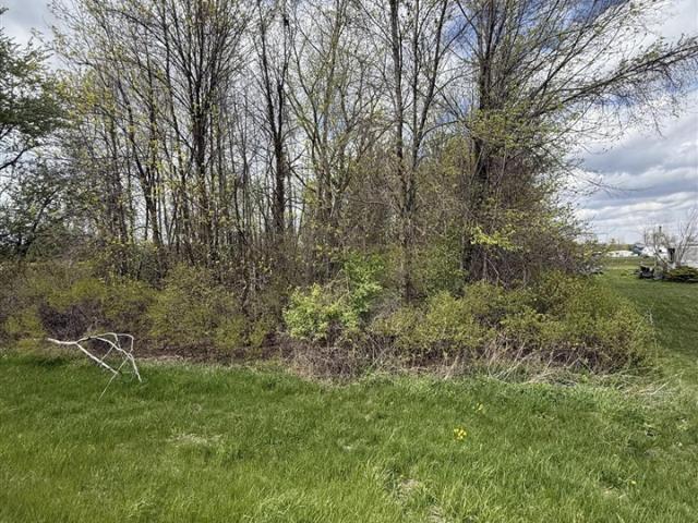 Land for sale in Crystal, Michigan