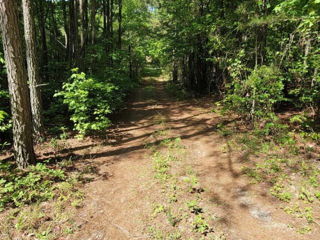Land for sale in Whitesburg, Georgia