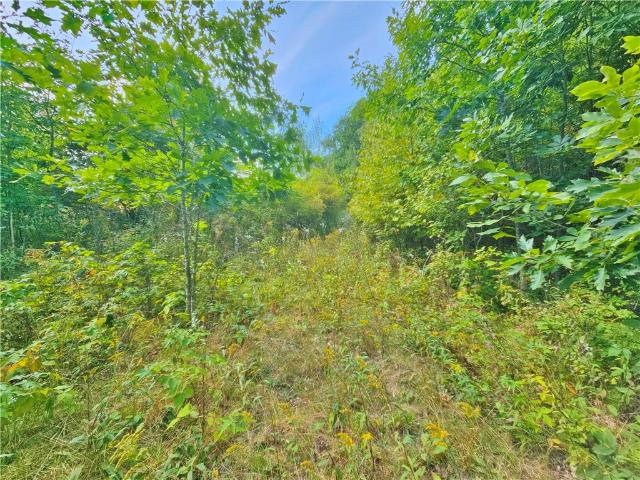 Land for sale in Town of Pulteney, Steuben County