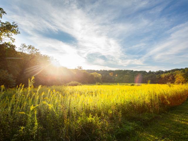 Property for sale in Woodford, Illinois