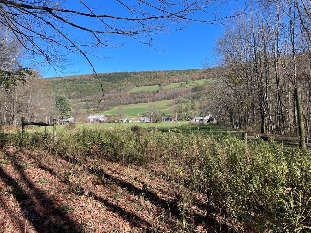 House for sale in Maryland, New York